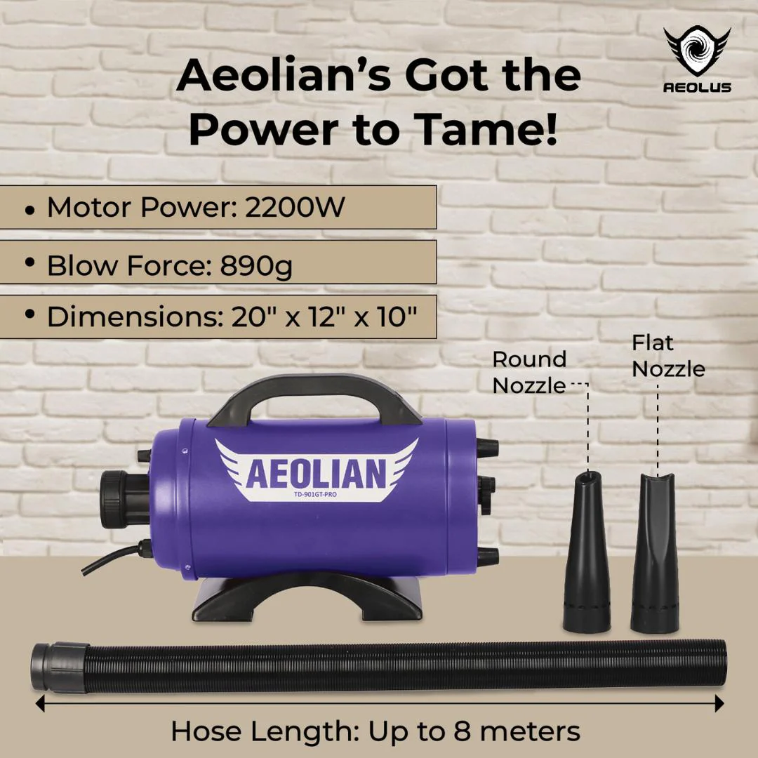 Aeolian Blaster Pro Ametek Single Motor Dryer (Blue) - Image 3