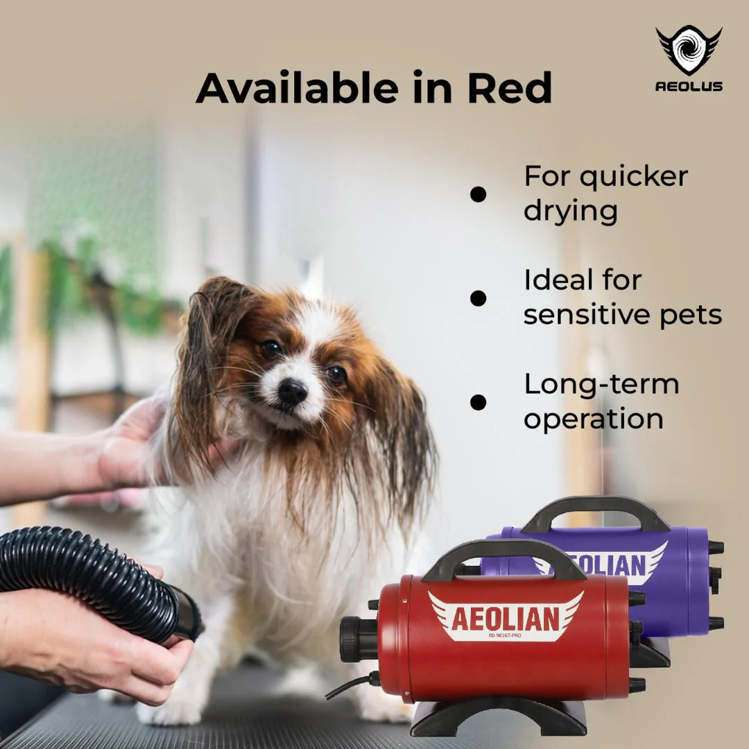 Aeolian Blaster Pro Ametek Single Motor Dryer (Red) - Image 4