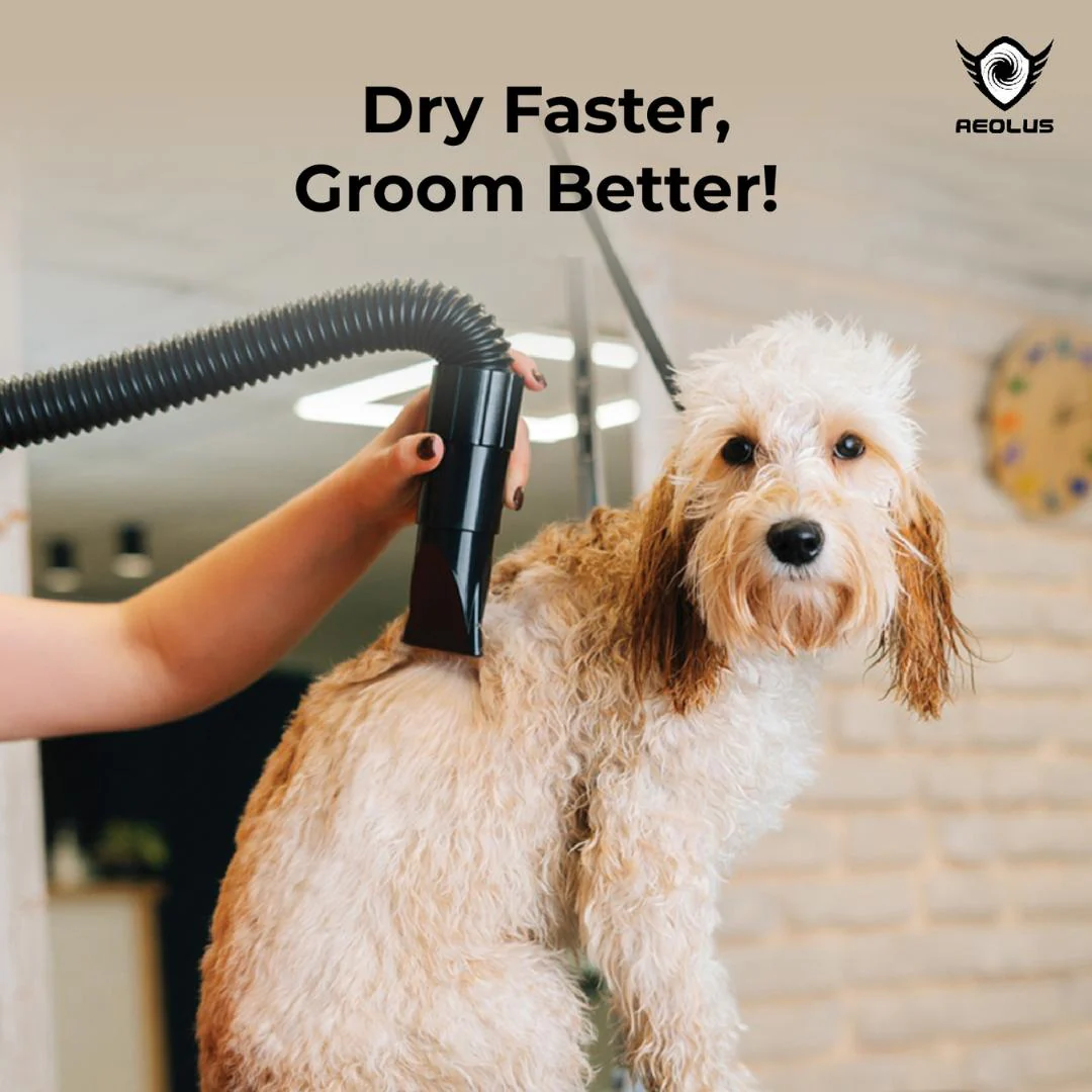 Aeolian Blaster Pro Ametek Single Motor Dryer (Red) - Image 5