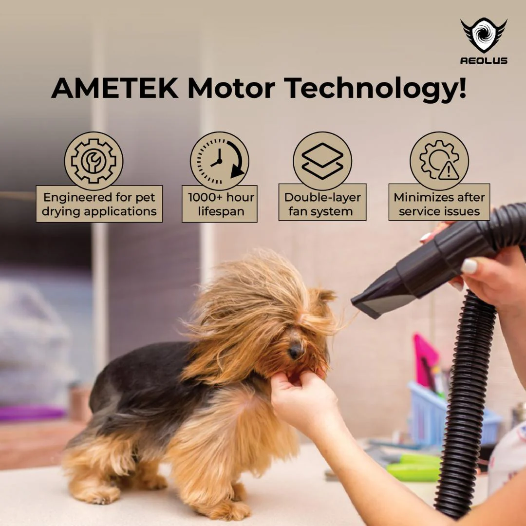 Aeolian Blaster Pro Ametek Single Motor Dryer (Blue) - Image 6