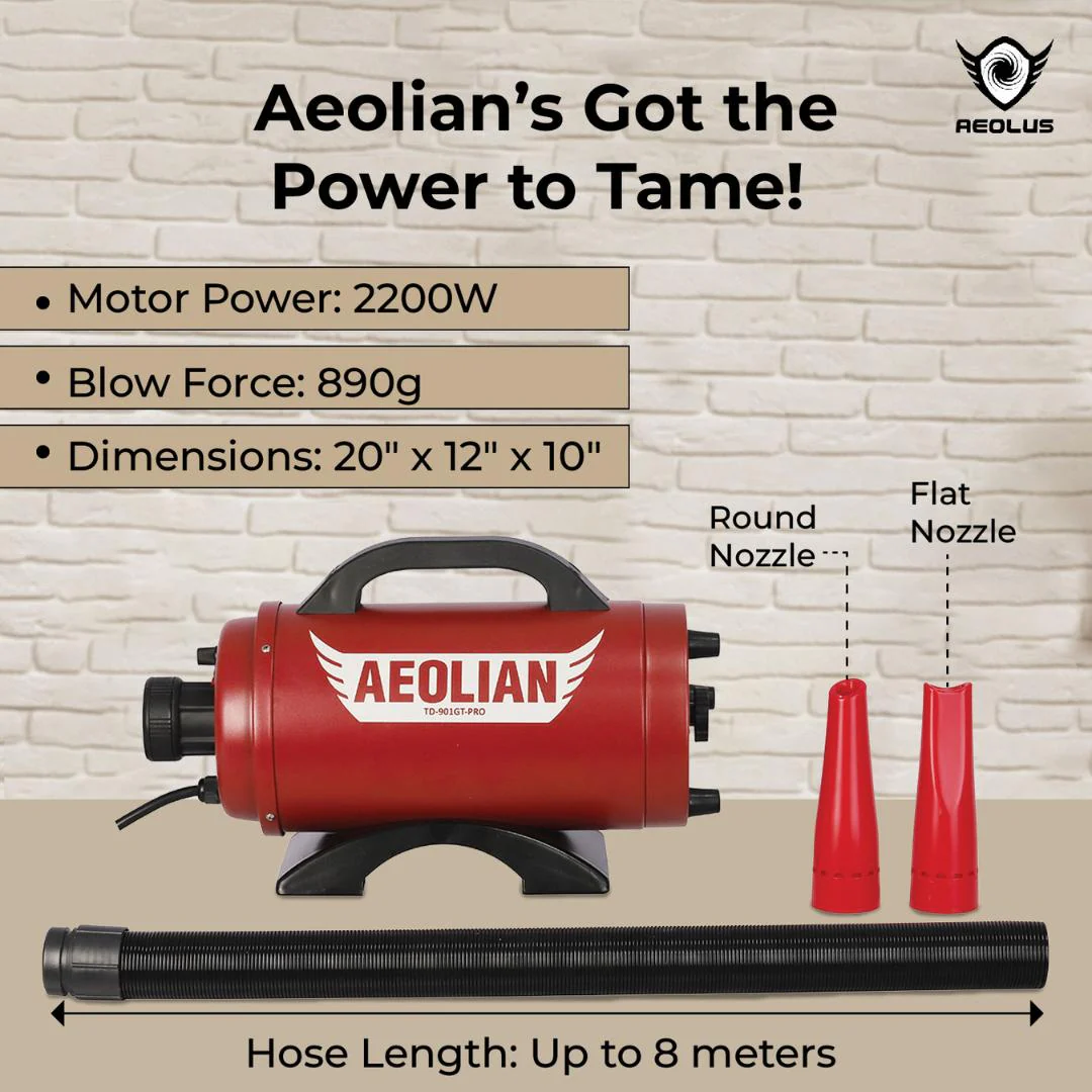 Aeolian Blaster Pro Ametek Single Motor Dryer (Red) - Image 3