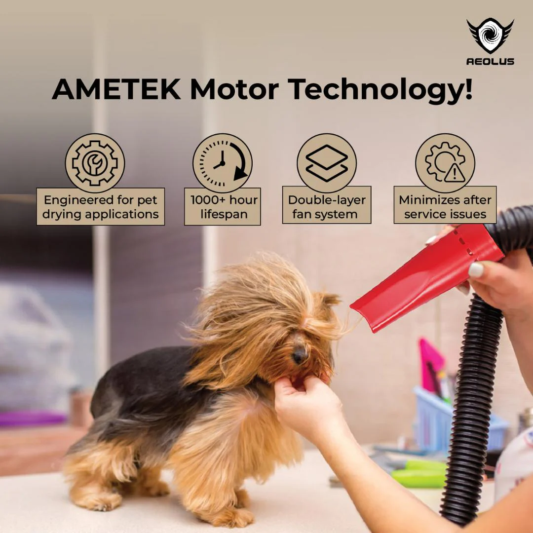 Aeolian Blaster Pro Ametek Single Motor Dryer (Red) - Image 6