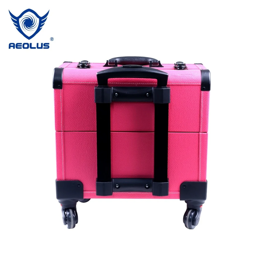 Aeolus Fancy Portable Tool Case - Image 4