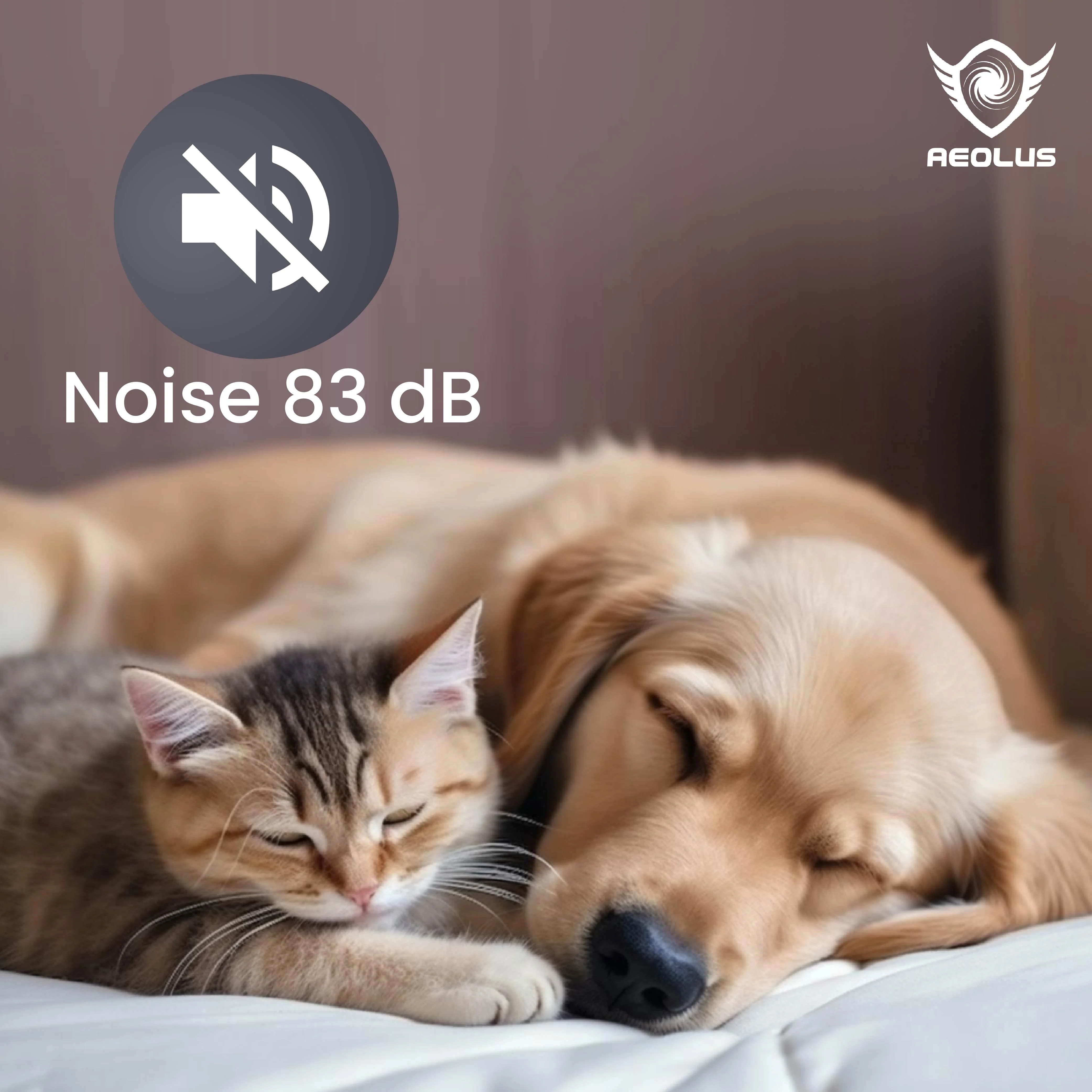 Aeolus Hercules Double Motor Dryer - Image 6