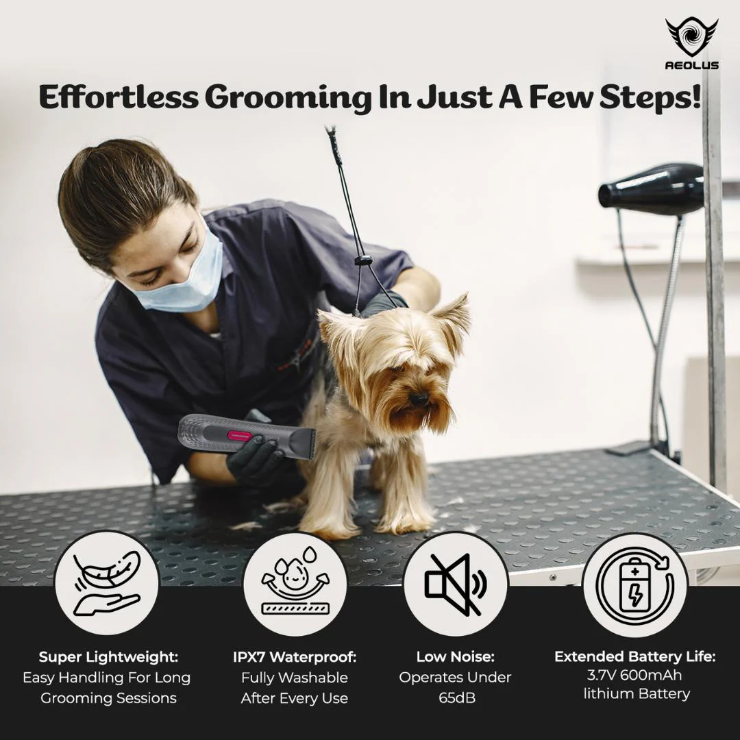 Aeolus Waterproof Trimmer with Light MC-240 - Image 4