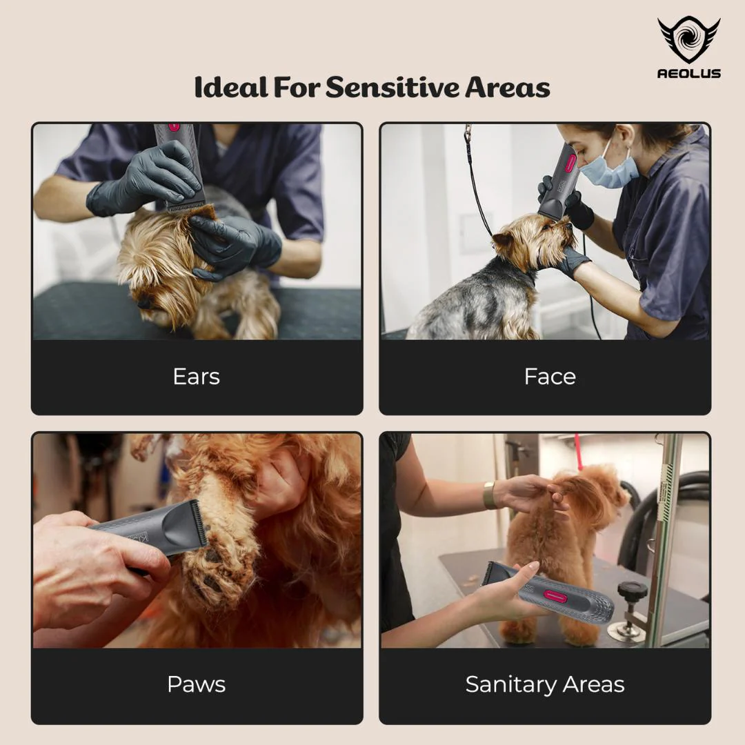 Aeolus Waterproof Trimmer with Light MC-240 - Image 5