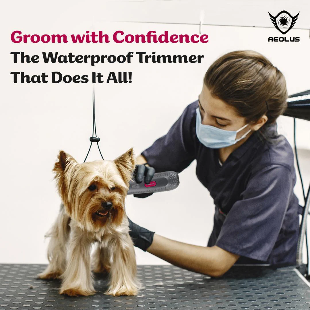 Aeolus Waterproof Trimmer with Light MC-240 - Image 6