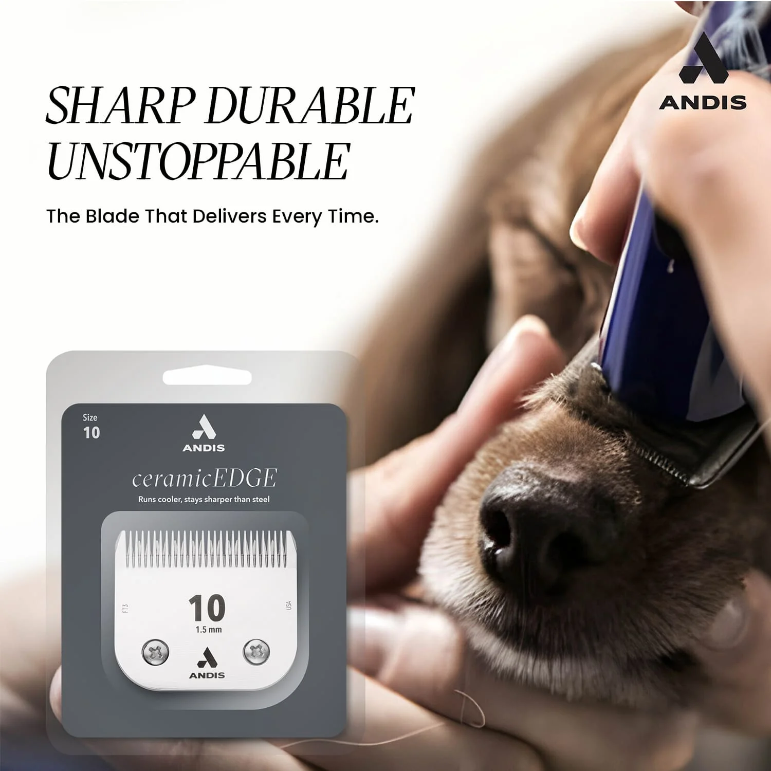 Andis Ceramic Edge Detachable Blade, Size 10 - Image 6