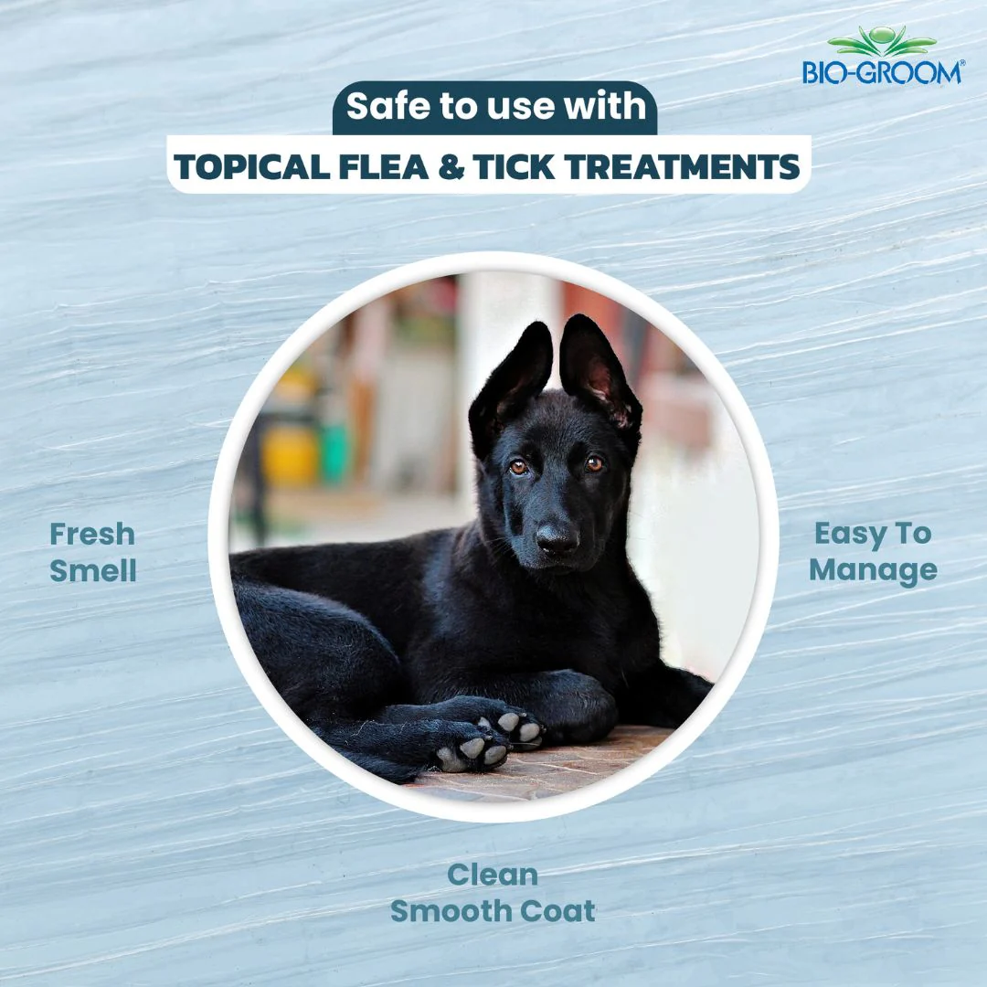 Bio-Groom Ultra Black Color Enhancing Dog Shampoo (355 ML) - Image 3