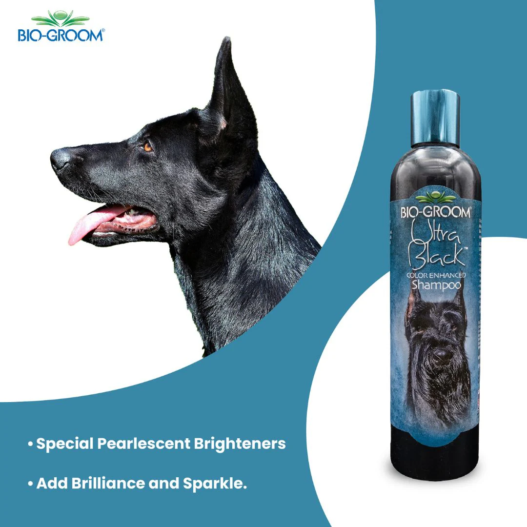 Bio-Groom Ultra Black Color Enhancing Dog Shampoo (355 ML) - Image 6