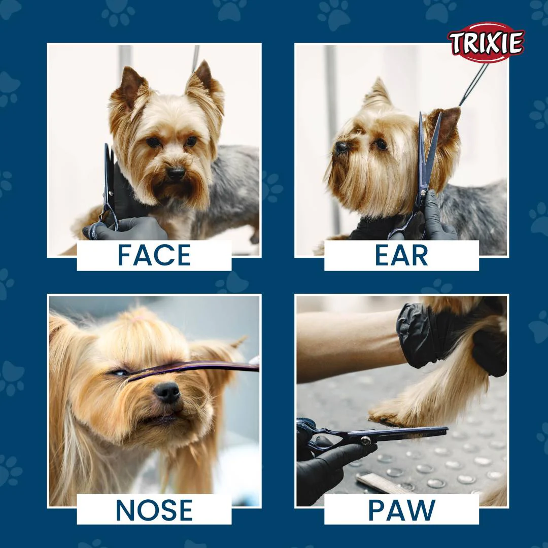 Trixie Face and Paw Scissor - Image 4