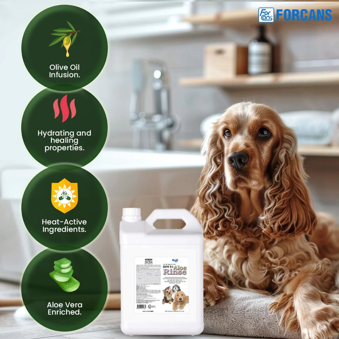 Forcans Aloe Rinse Conditioner (4 L) - Image 3