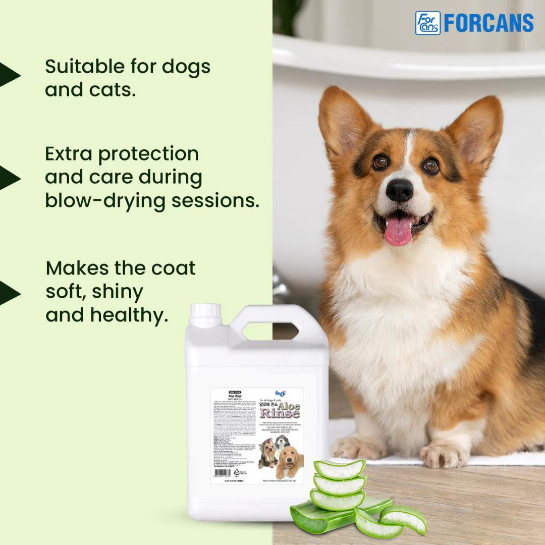 Forcans Aloe Rinse Conditioner (4 L) - Image 6