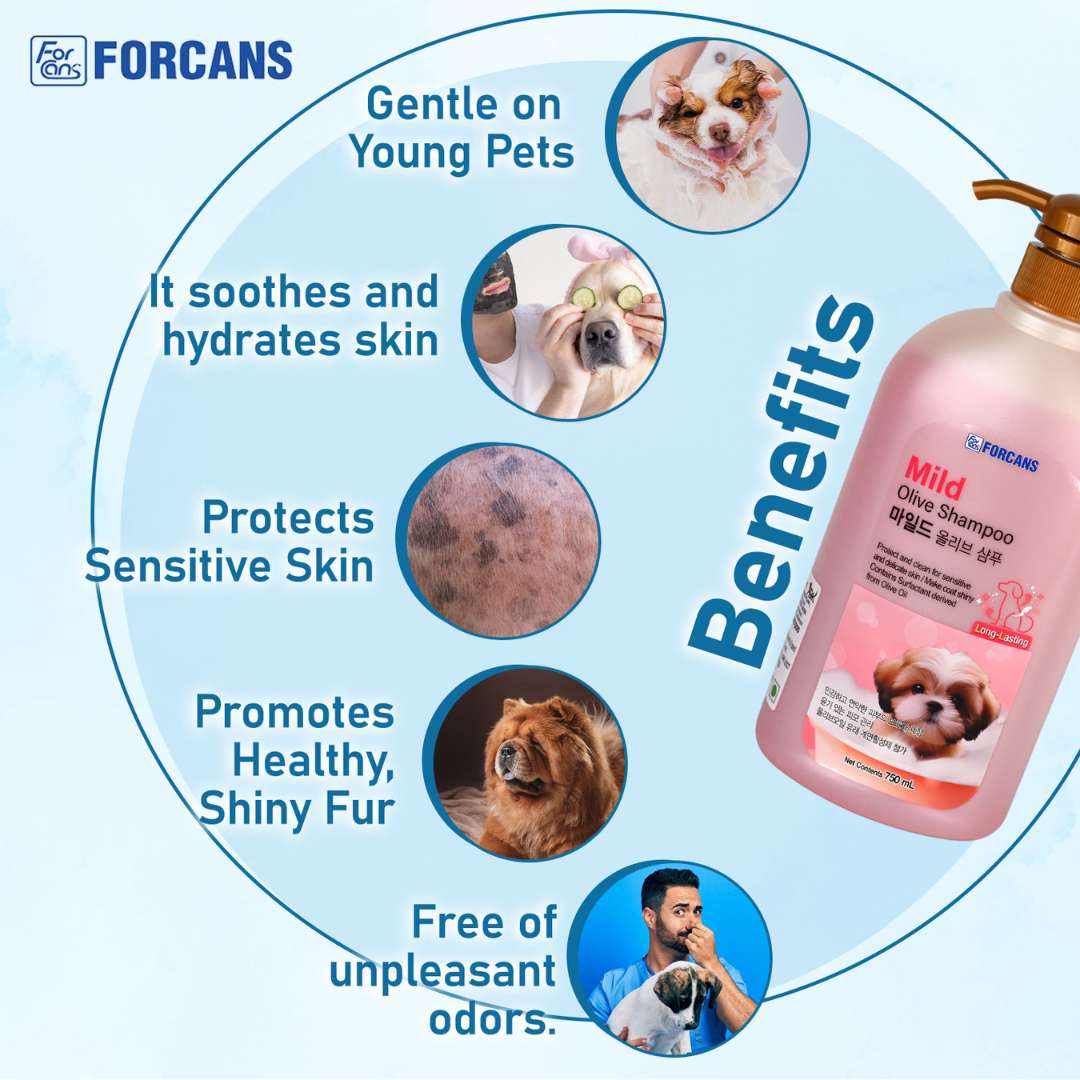 Forcans Mild Olive Shampoo For Dogs, 750 ml - Image 3