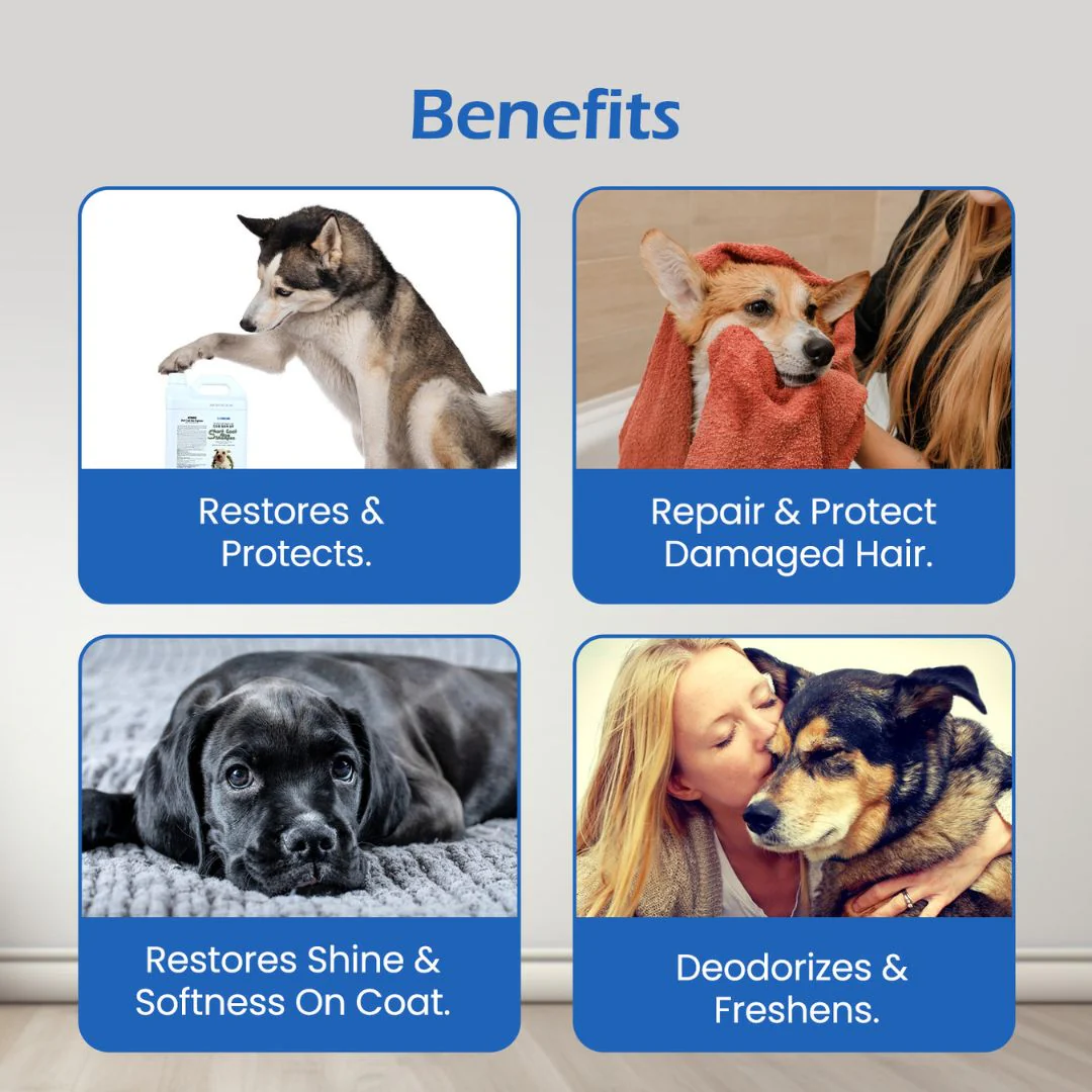 Forcans Short Coat Aloe Dog Grooming Shampoo 4L - Image 4