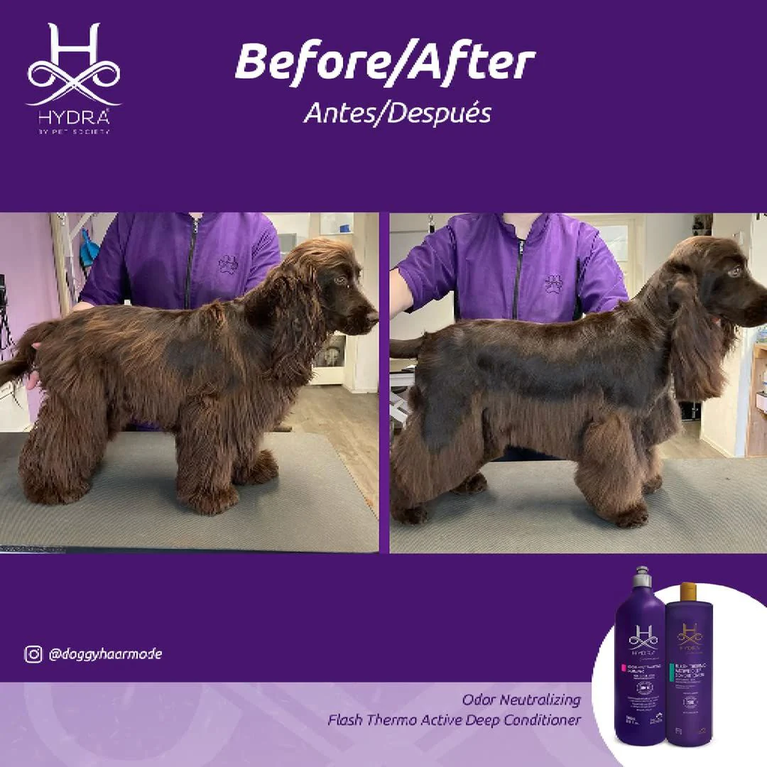 Hydra Groomers Flash Thermo Active Deep Conditioner for Cats and Dogs (900 g) - Image 7