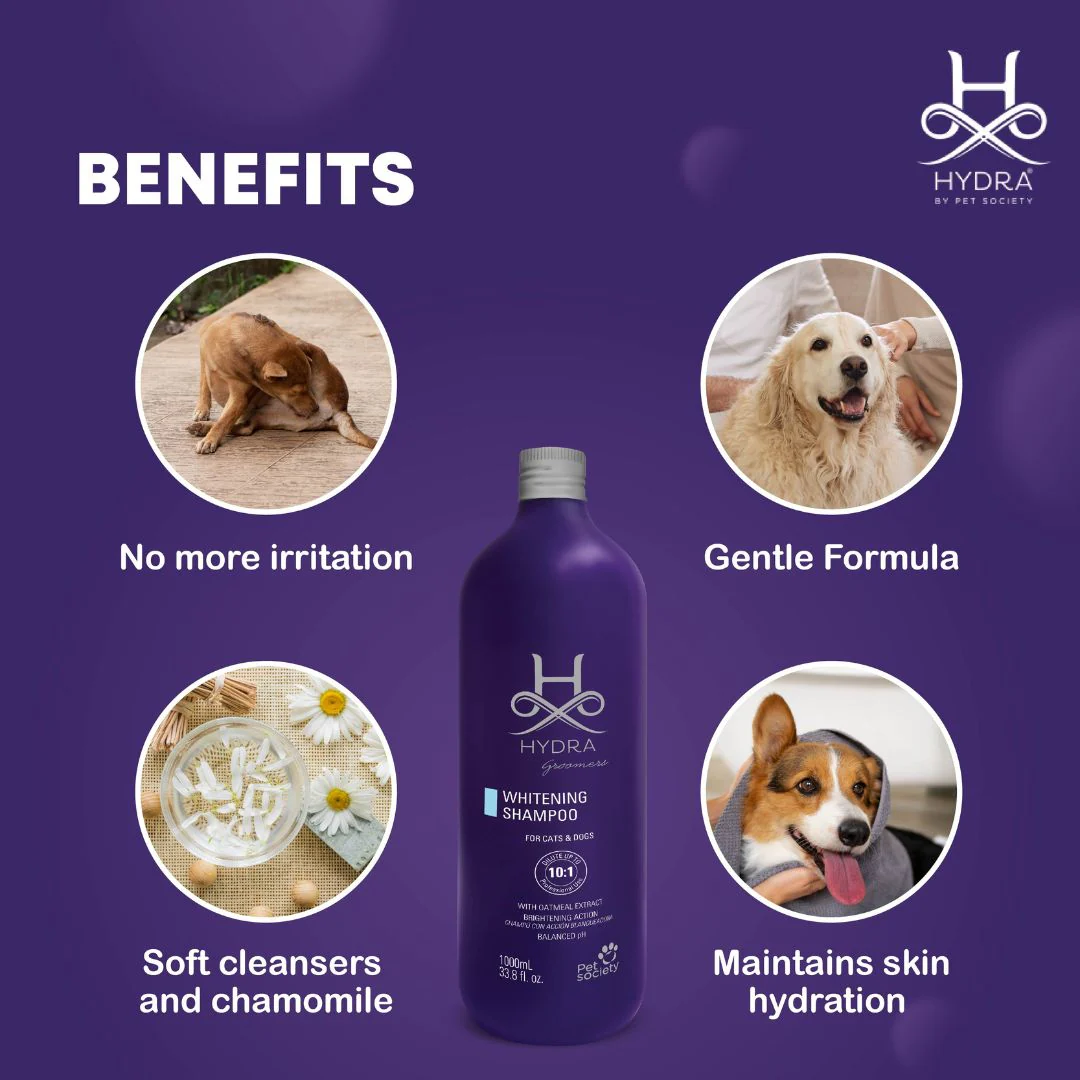 Hydra Groomers Extra Soft Facial Shampoo for Dogs & Cats (1 L) - Image 4