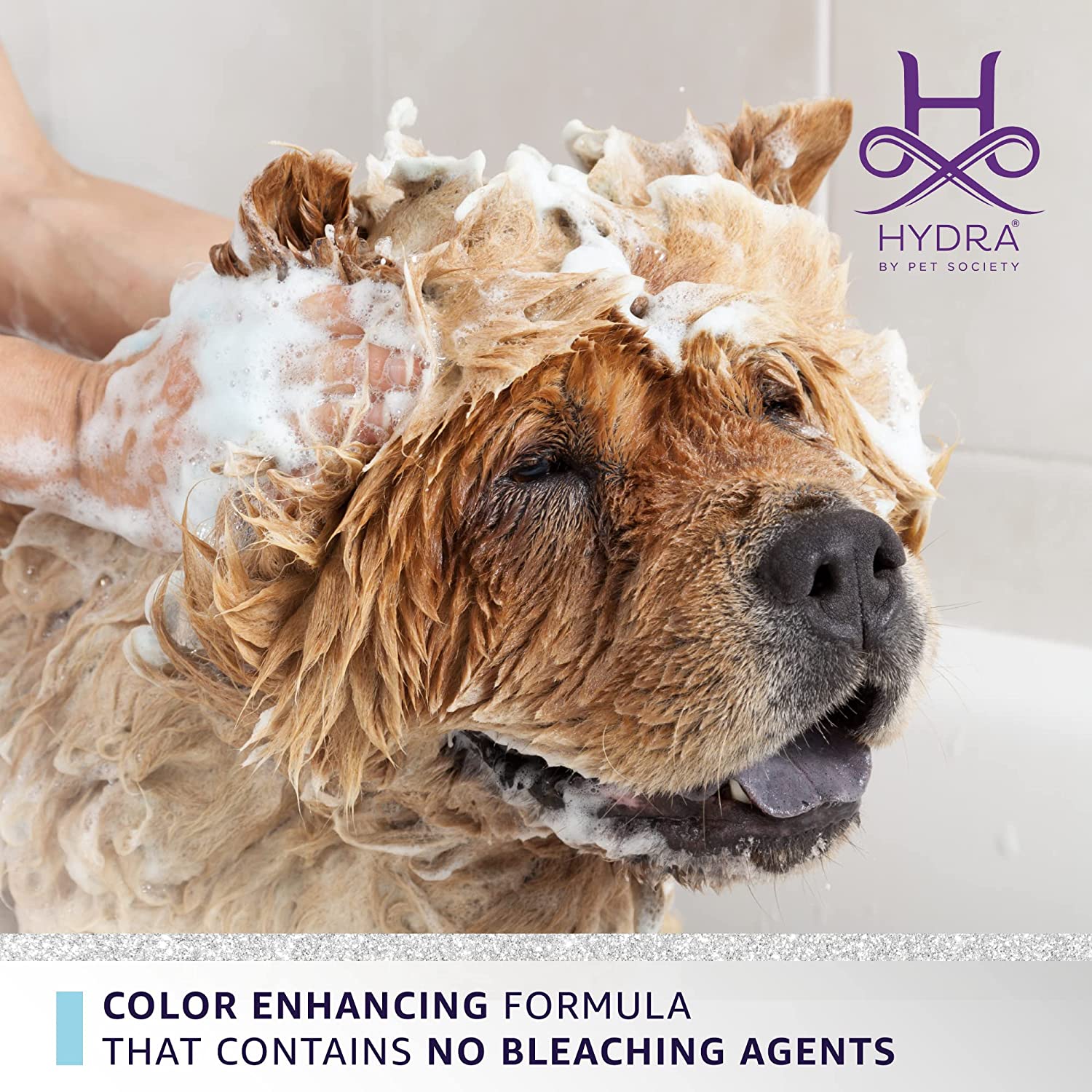 Hydra Groomers Whitening Shampoo for Dogs & Cats (5 L) - Image 5