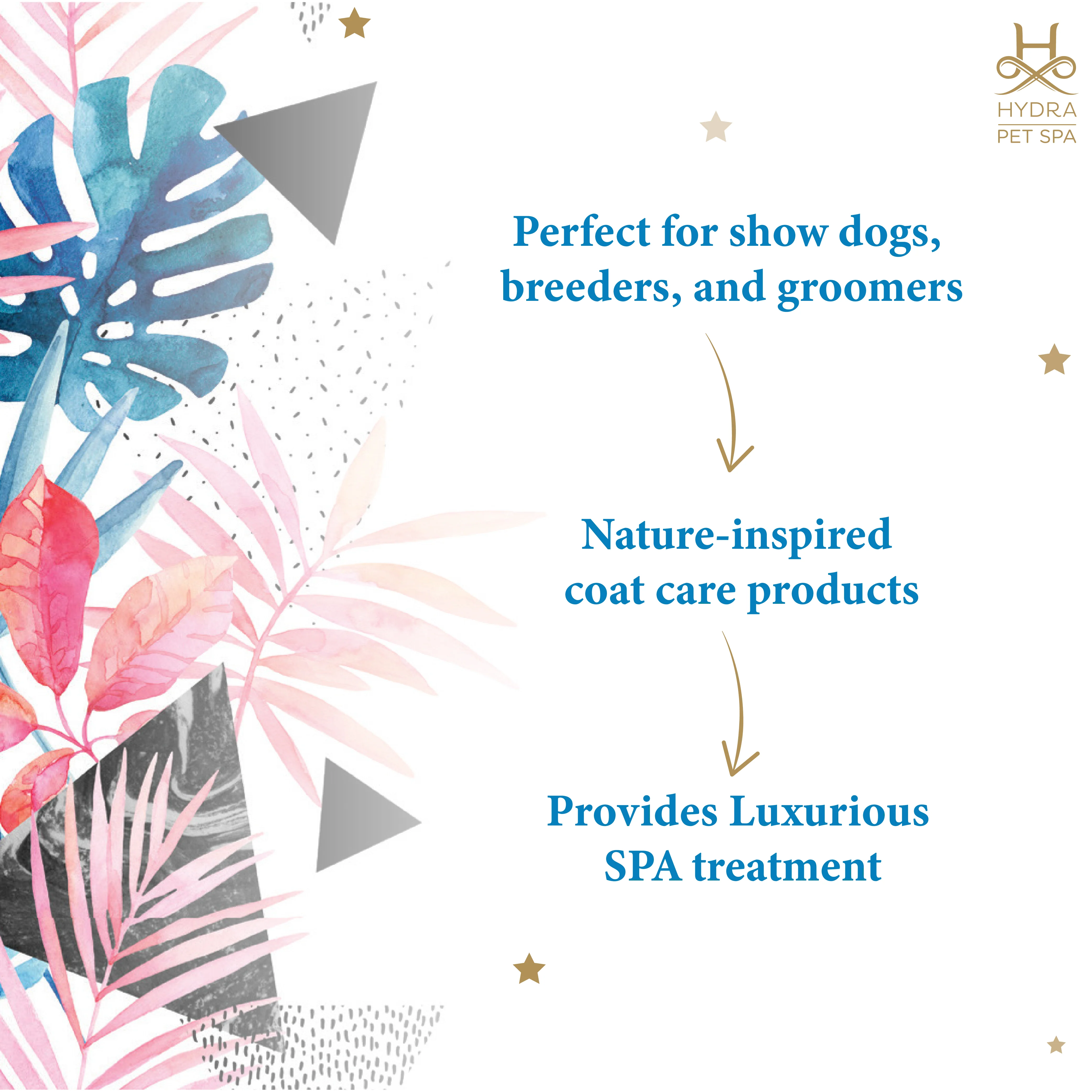 Hydra Spa Senses Care Pack of 6 - Dog Bathing Kit - Image 4