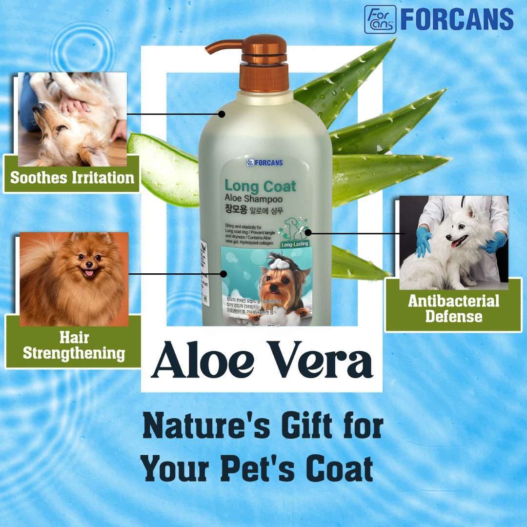 Forcans Aloe Shampoo for Dogs with Long Coats, 750 ml - Image 3