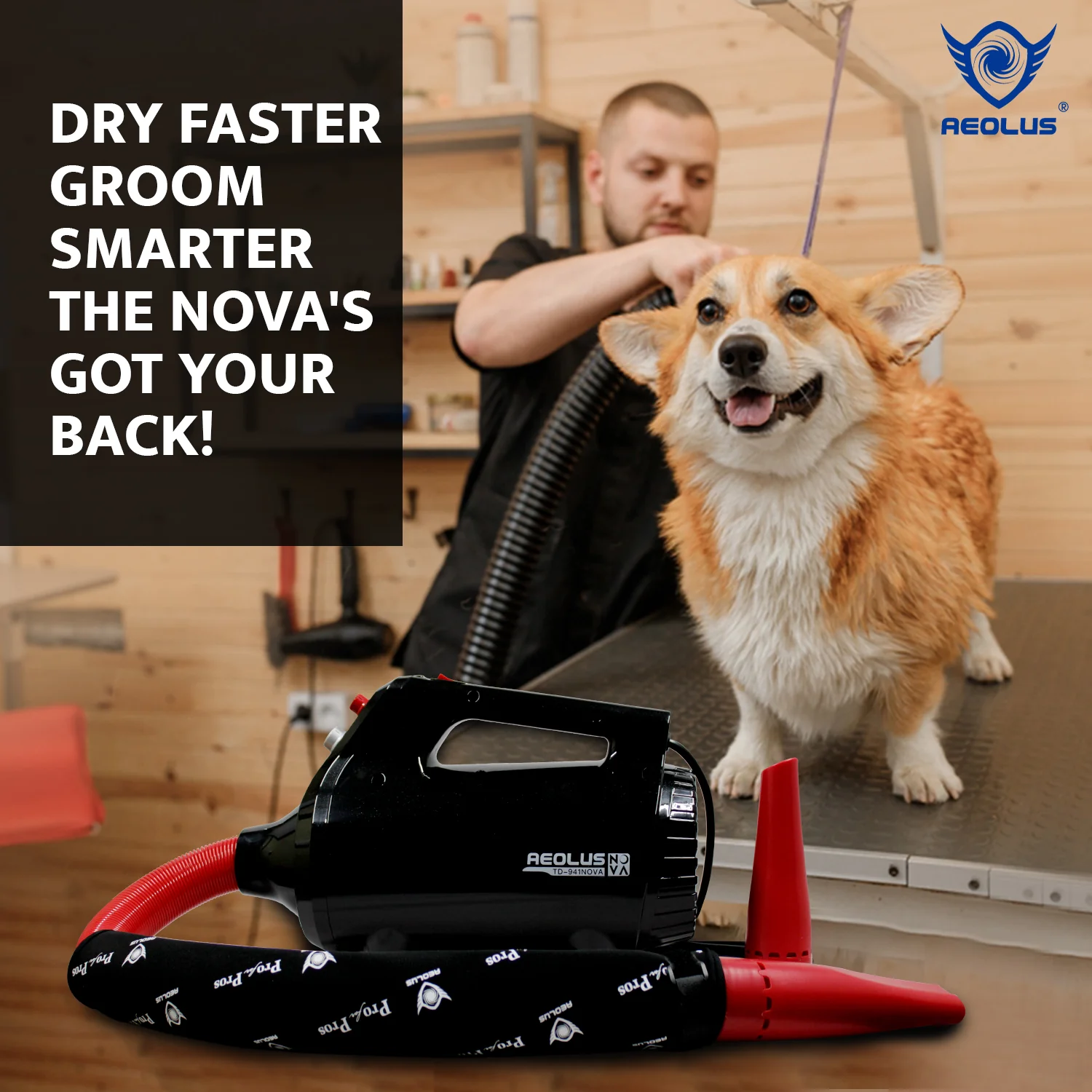 Aeolus Nova Brushless Motor Pet Dryer - Image 6