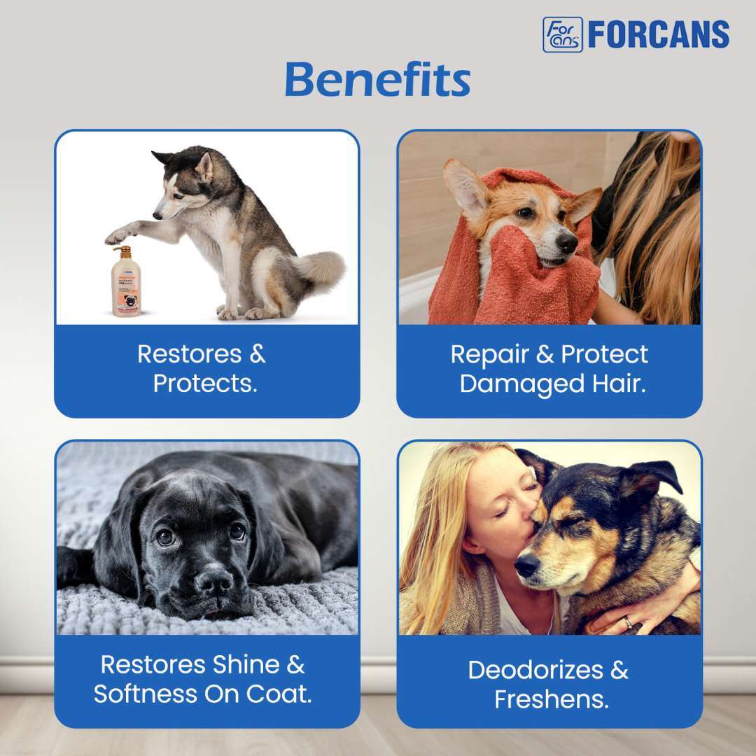 Forcans Short Coat Aloe Dog Shampoo, 750 ml - Image 6