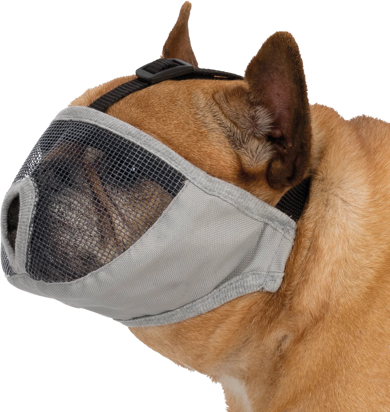 TRIXIE Muzzle For Short-Nosed Breeds - Image 3